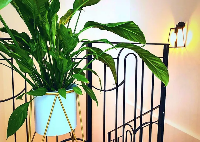 Cinematique Πανσιόν 4*